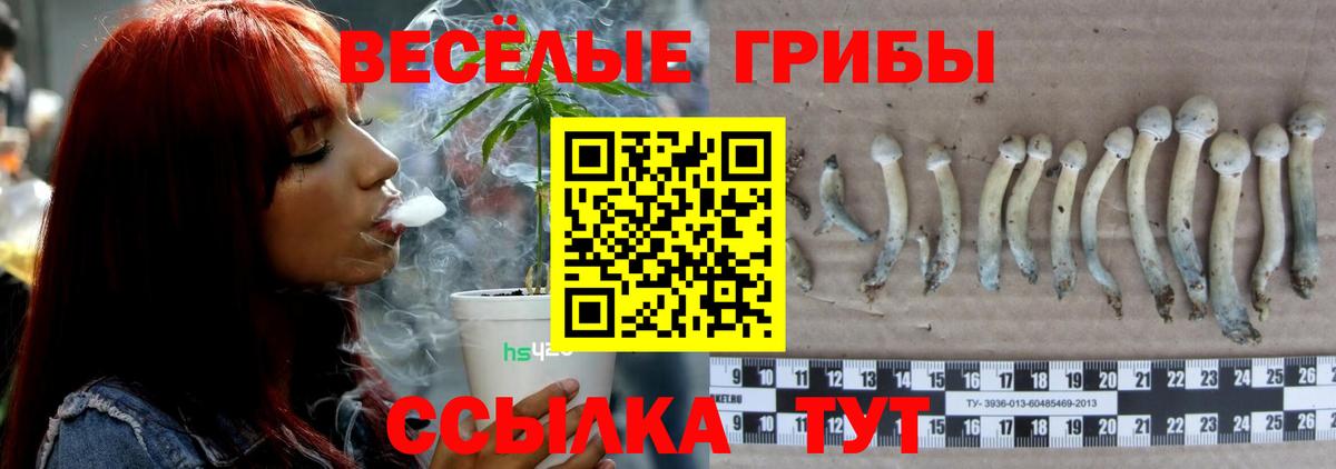 Псилоцибиновые грибы Psilocybine cubensis Пыть-Ях